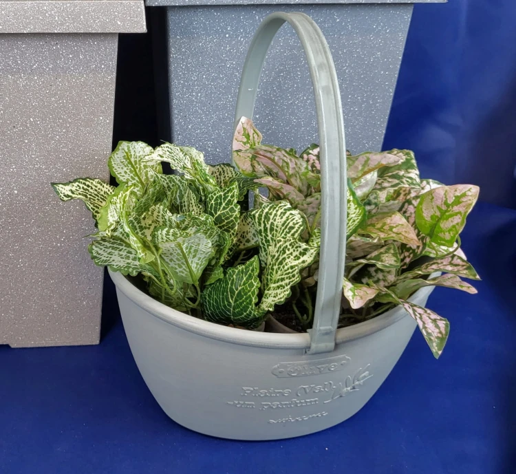 5212c3cbe26aa07e137e2c8fd39eadf1