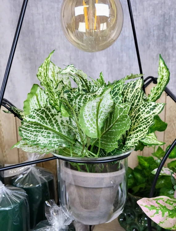 46ba0a84ef786104a13feb1f65becfa7