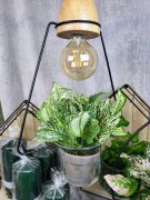 0955b98a1c18116051cea3486bd09fc1