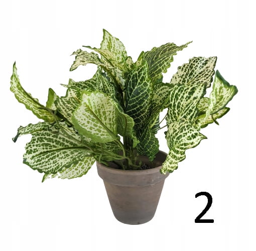 d5477b44ce2cd1f02ce522ada18c806c