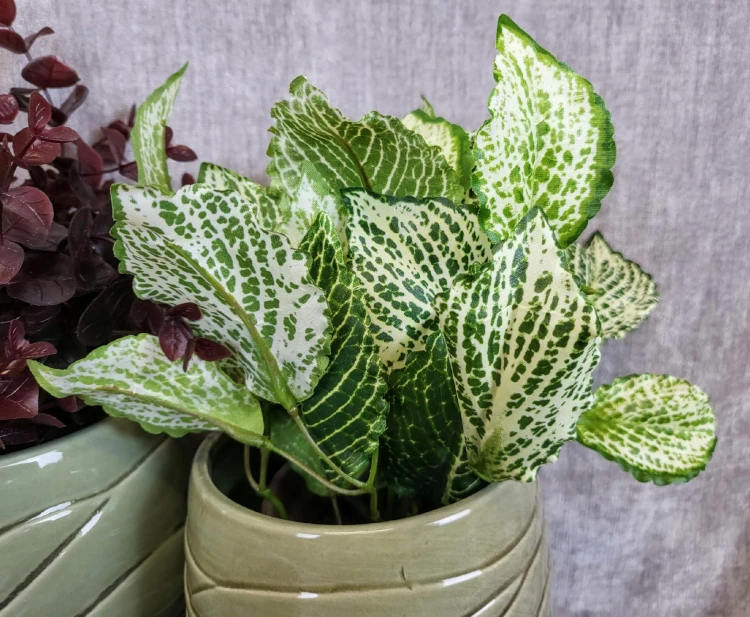 724912525e70868f2006aed7a746d52f