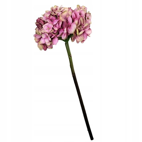 412cf275ba884ebf0f9f6132eccf1e11