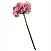 03883dbc765f2449cb8f399c479e4632