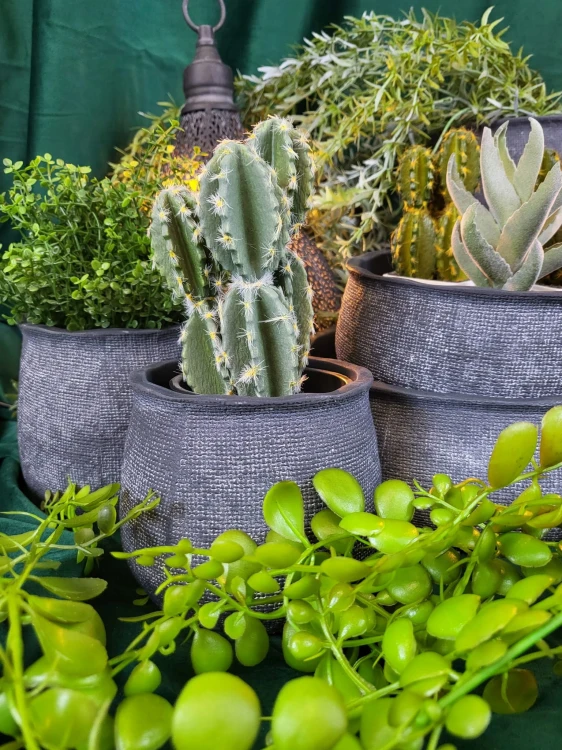 e59bf645111dca919d3acc6c298eeb0a