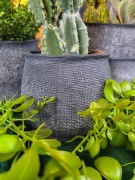 aa3ee8dc35c5bdb3fd69c7db9763b515