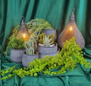 7703239ffe0c036e80da2901c2aa2a04