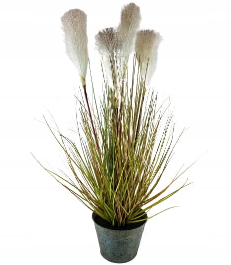 bd92c096ea48c5a02fbaeb2813cd2a7e