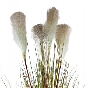 546910425f2be1885c329ad967af5f03