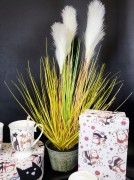 cadd506f03a6bf9454871d87e39cc835