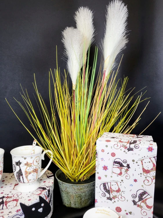 cadd506f03a6bf9454871d87e39cc835