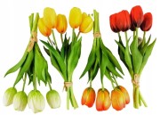 4548e78ec0ca53a6ee4e545d67282af5