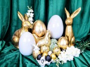 56c23e896606ff50af5c5d564e10e2fd