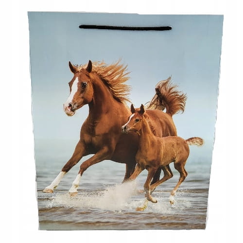 8400f374da310b4272631bd443a8251b