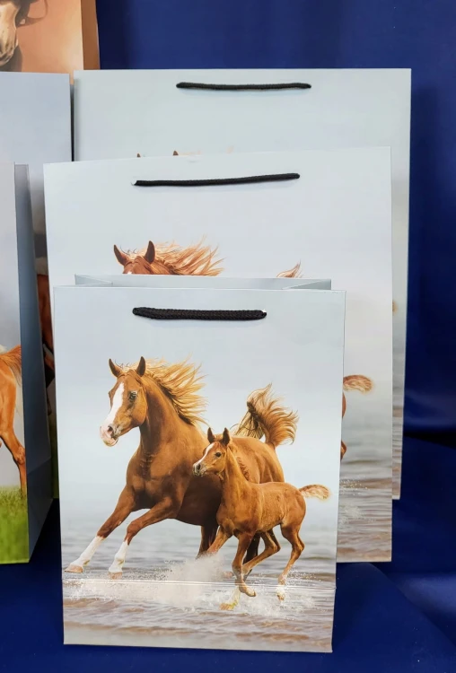 26a99f0fc28bf09182f310d21e4d35ef