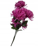 14ae83bab5193018927c6b8371985c56