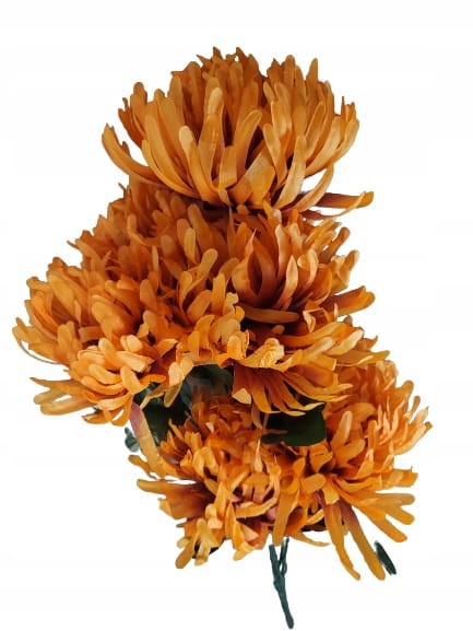 09b6f01dbf34b5c1e7a75efaf8878f6b