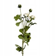 a95eea600741203f4f9e2a00e9ec57ec