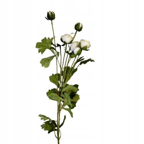 a95eea600741203f4f9e2a00e9ec57ec