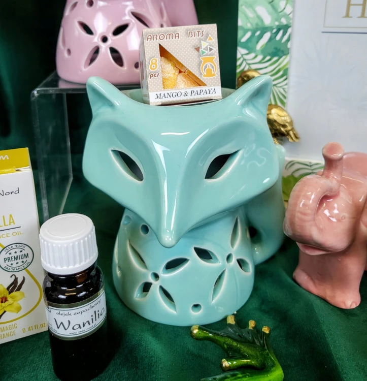 118bfe4bbc9d1bed623b21fc25f9c413