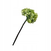 c79e6f764f2d45d6005fb92218f461ff