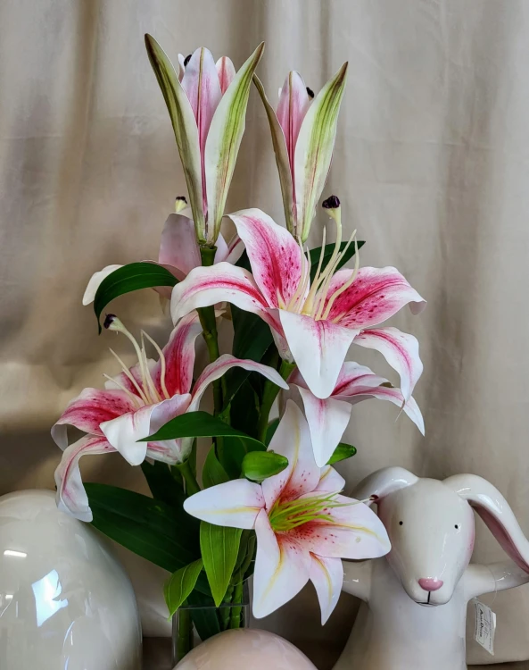 0c65e1f463c627f8631548f40326cc37