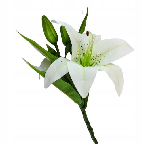 b13724016269e2021dd08e5c74df81f0