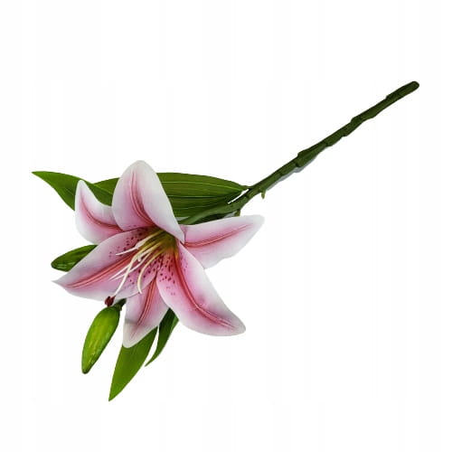 d2b359a4985b184e2ceb1f4a1fc96869