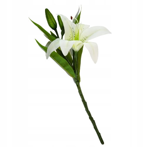 3a8f38e879b40ada99996570c4a02ca5