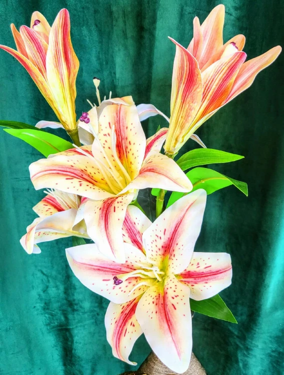 99ce3707a32b9319ca3b0f0466c7544b