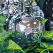 e7fa221968f371ad1142c6095feccda1