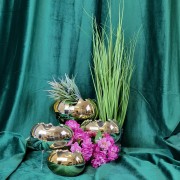 d1041969c8c61c7918bd722f594d2af8