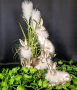 7c982ed91d695bff4fcf94d720bfaa0f