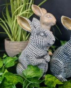 d1ae9f1027f660d16a39644d2248f402