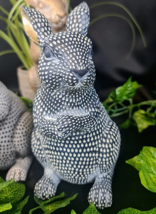 9e0a050a9556c99230f3c4a43d597517