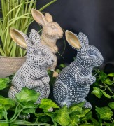 f6d3ba4ee2d0061f210570ae2b1c8155