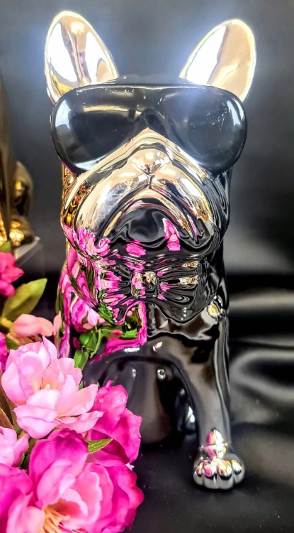 50e2c8fa8e2ca0036e741875101c7ab8