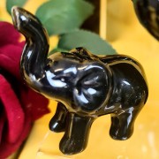 e71b10dfeb9bd9a6259392302f998121