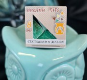 3c1ed998ee359c90e2754cf3d7b6a2b1