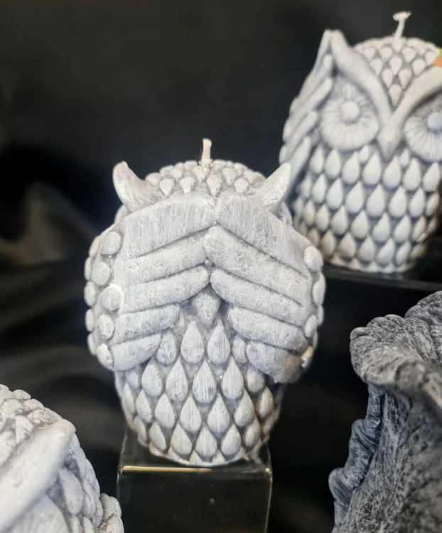 96a7a31d1685a902261fa813b5034855