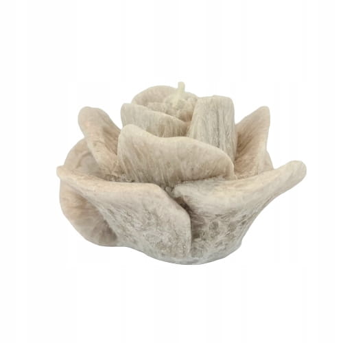 cfd5350cc054a8b91c089495bd837915