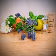 e624c95780bd2d7f448a5c5128c292e6