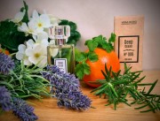 88e56b2e8a4bb5dcda242bc5849832c6