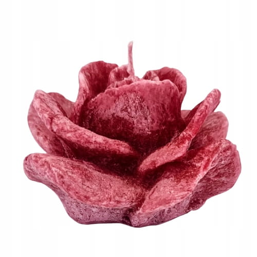 39f7f4d25c04c87a61962692f516919f