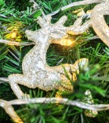 9156f7f0a802f8b77c3a88182cc9f177