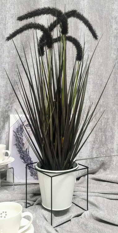 c00e2a1225d6fe9111294dc269886f7a