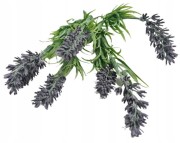 b1b87cf9db0e8e159375ae3bede38f20