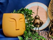 4aa4dfd8102e7c98033c2e2792dfbc86