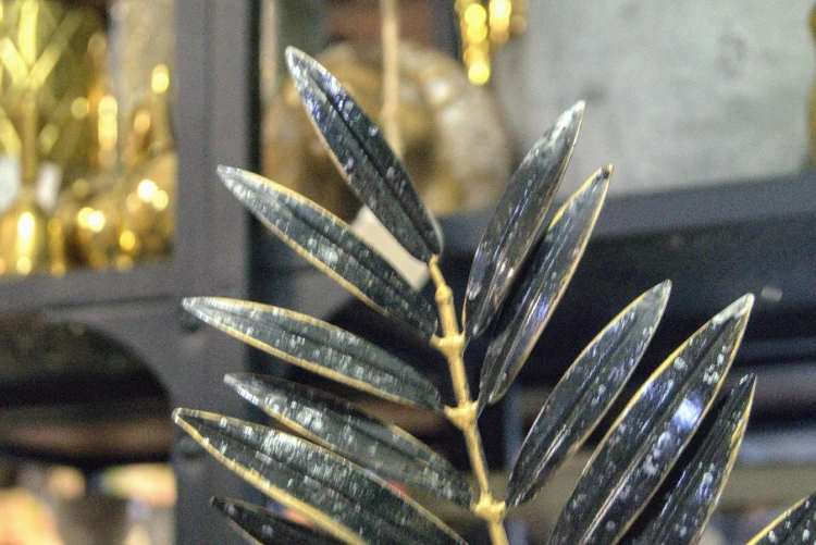 732ec6140fe091ea1da7f68505149261