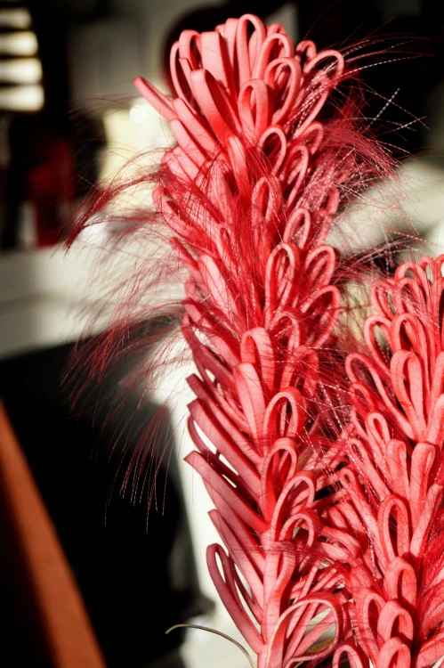 f6b2bbf427fbf707ca3c7b5ce435c682