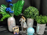 2d8a1b5dd10f11be0adcefabd7a08994